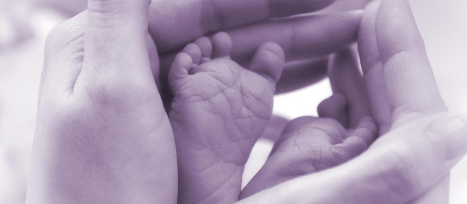 Winchester Reflexology